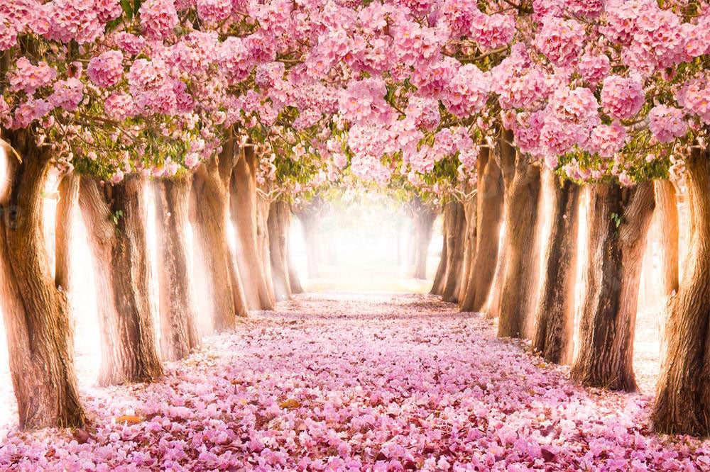 Kate Pink Flower Tree Path Spring Backdrop for Wedding Photography